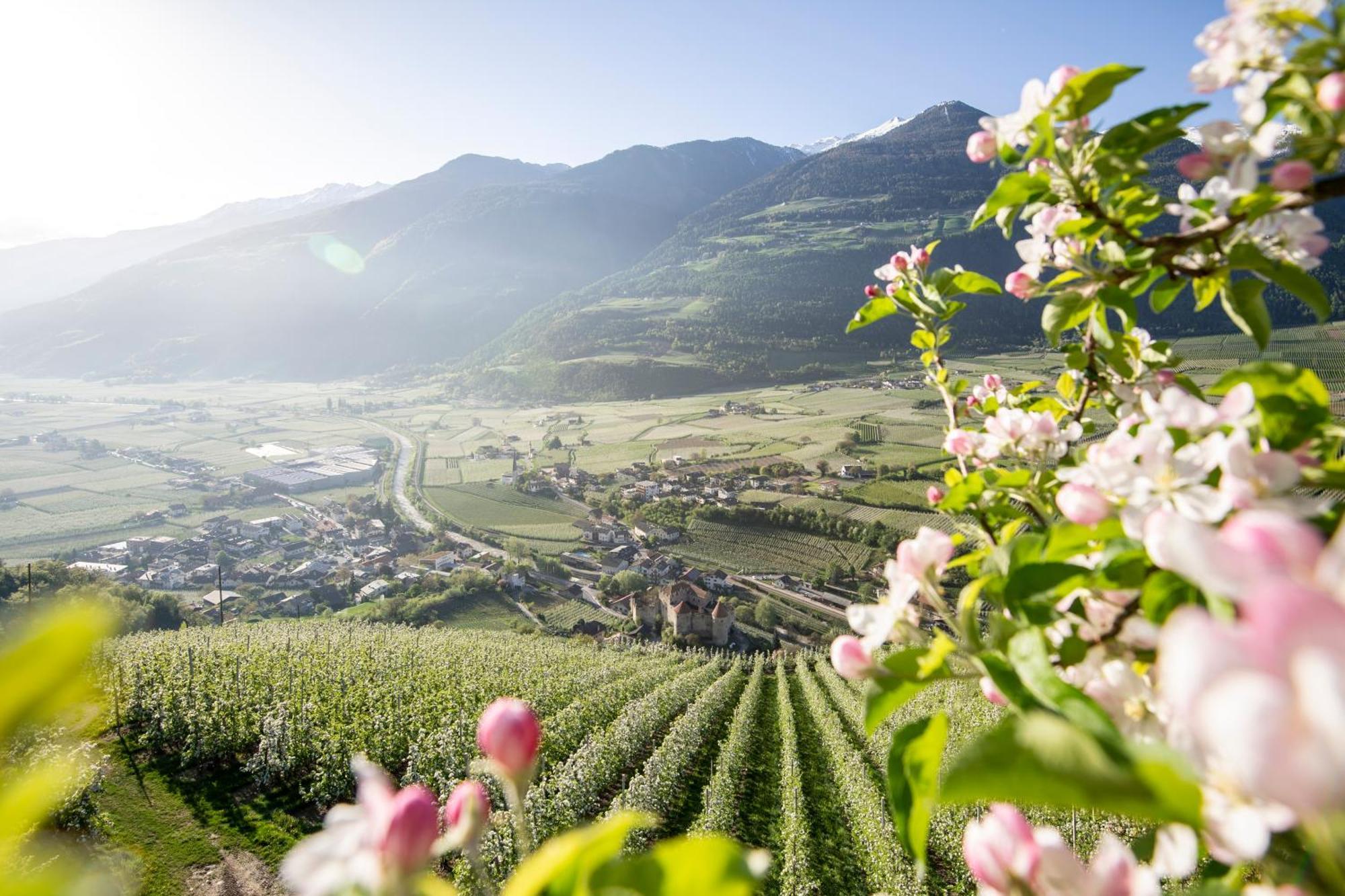 Lindenhof Pure Luxury & Spa Dolcevita Resort Naturns Buitenkant foto